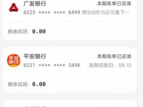 查看信用卡账单哪个软件最准确?