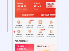 为什么我按时还款,小白分数还是很低?