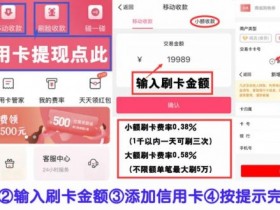 汇付天下闪电宝Plus: 刷脸+扫码=手机支付