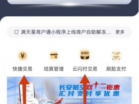 智汇蓝极速版—汇付又一手机刷卡app,可解广发风控