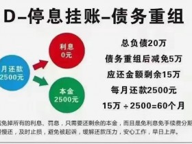 债务优化：名下有多笔高额网贷，小额贷款可以考虑债务优化，降低利息