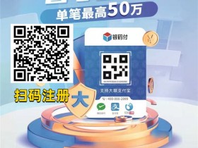 近期非常火的银码付常见问题及其解决方案